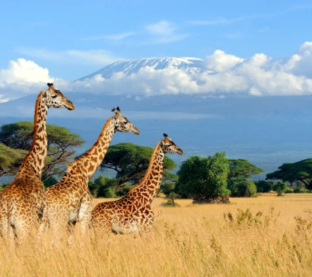 Kenya Visa
