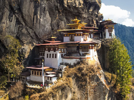 A luxury Himalayan retreat offering elegant suites, peaceful surroundings, and exceptional Bhutanese hospitality.