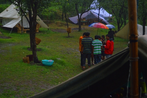 Bell-style luxury tents with high-quality linens and forest surroundings.