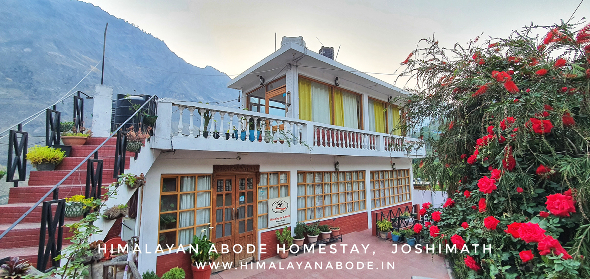 Description: After descending from Ghangaria, you transition to this award-winning boutique homestay. Known for its personalized service and "Home away from Home" feel, it features wooden interiors, a rooftop terrace with 360-degree mountain views, and a library to relax in.