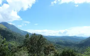 Dobipalam, Power House Road, Munnar, Idukki District Munnar - 685565