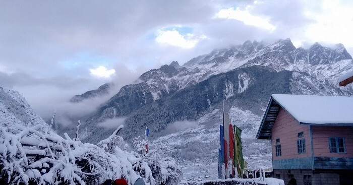Description: A charming 3-star boutique hotel inspired by traditional Tibetan architecture. Located in the picturesque Lachung valley, it offers clean, wood-paneled rooms with views of the surrounding apple orchards and snow-clad peaks. The dining hall serves as a social hub where guests can enjoy hot, home-cooked buffet meals after exploring Yumthang Valley.