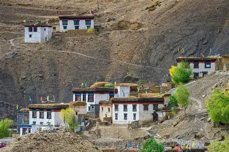Description: The first point of civilization in Spiti. This is the most refined stay in the remote Pin Valley, offering clean, wood-paneled rooms with large windows facing the stark, purple-hued mountains. It provides the luxury of a warm bed and a shared solar-heated shower after 8 days in the wild.