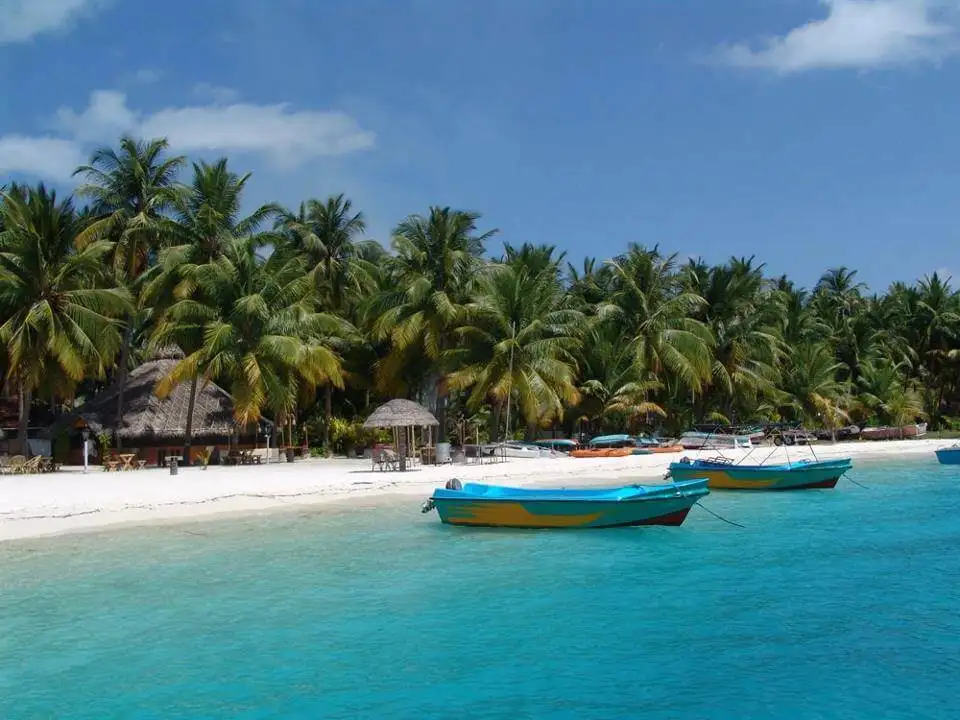 Description: This upscale retreat, managed by the Taj Group, is the most exclusive 4-star experience in Lakshadweep. Situated on a private, uninhabited island, it features high-end thatched-roof villas that blend rustic island charm with premium hospitality. The resort offers curated dining experiences on the sand, a specialized spa, and world-class water sports facilities. The absence of crowds and the focus on "quiet luxury" make this the highlight of the 10-day tour.