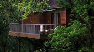 Comfortable rooms amidst coffee plantations

Valley and garden views

In-house restaurant serving Indian and continental cuisine

Family-friendly and peaceful environment