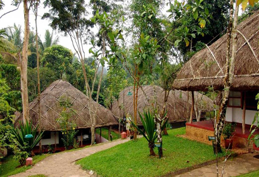 A tribal village with thatched-roof cottages, but with high-end amenities inside. It’s an eco-luxury masterpiece set within a botanical garden.